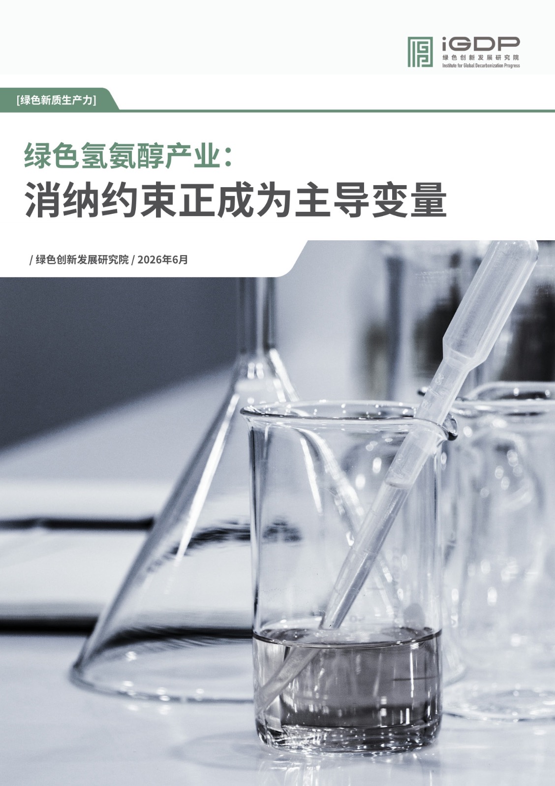 Consumption Constraints in Green Hydrogen Amino Acid Industry